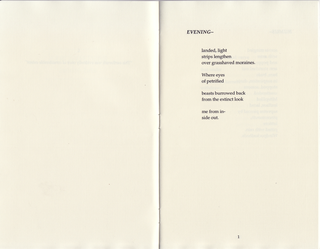 earthworks0007.jpg