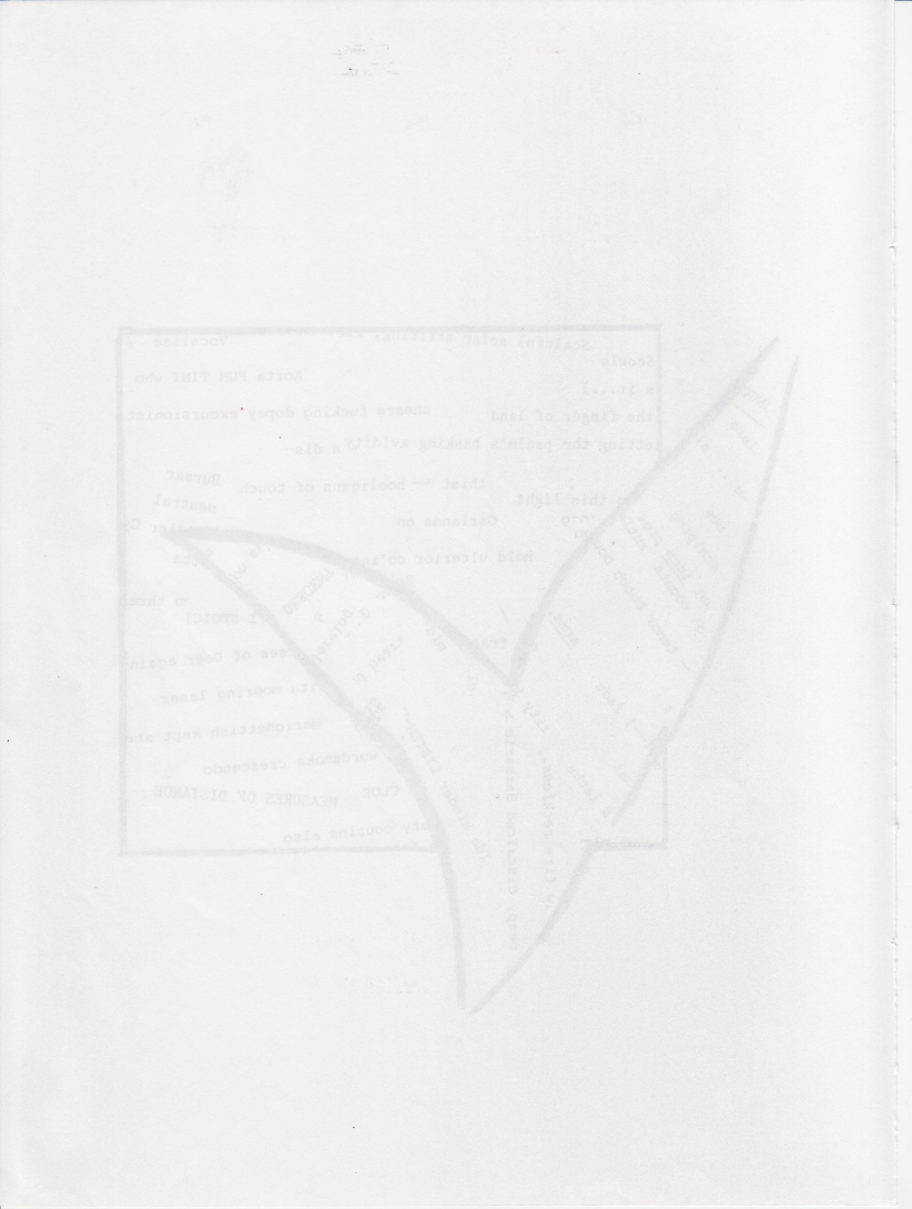 excla0050.jpg