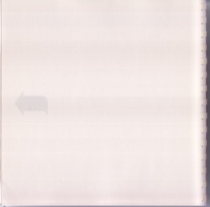 100.jpg