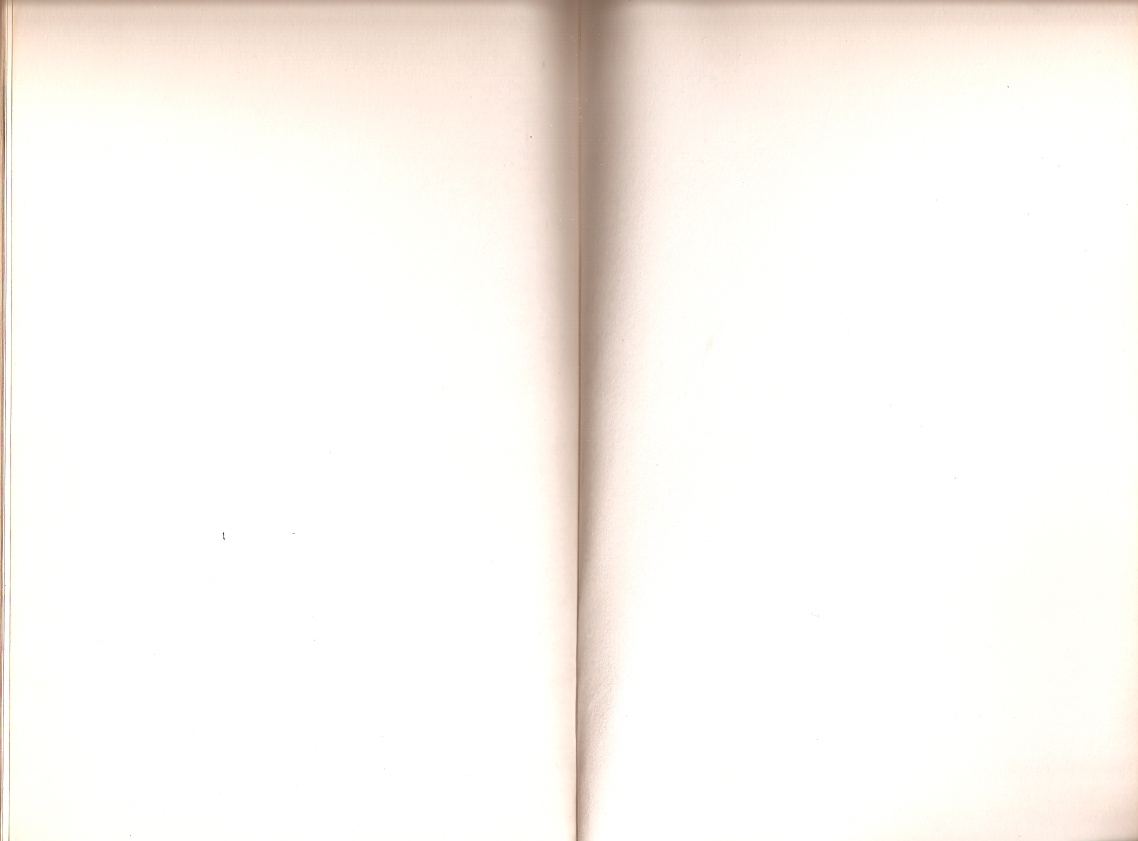 113.jpg