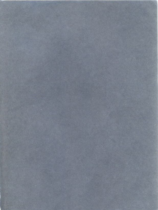 257.jpg