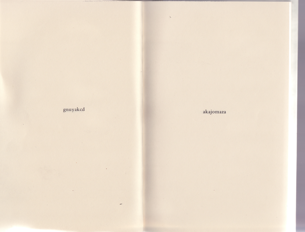 oiyeau0009.jpg