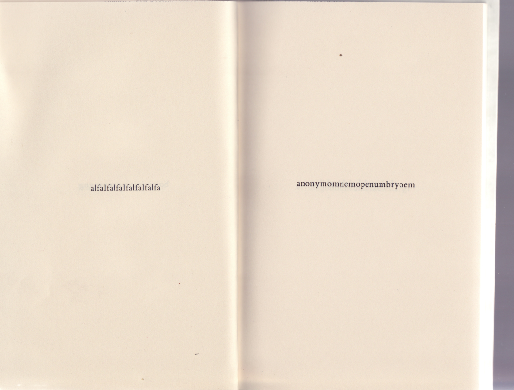 oiyeau0016.jpg