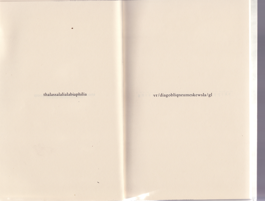 oiyeau0017.jpg