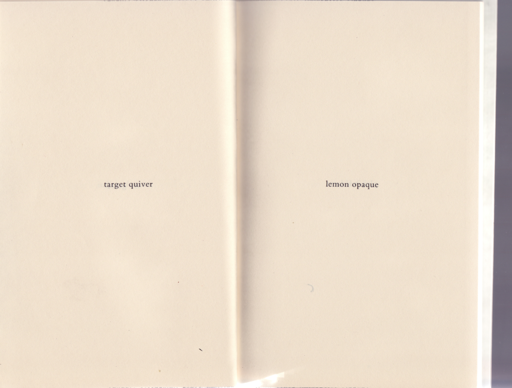 oiyeau0020.jpg