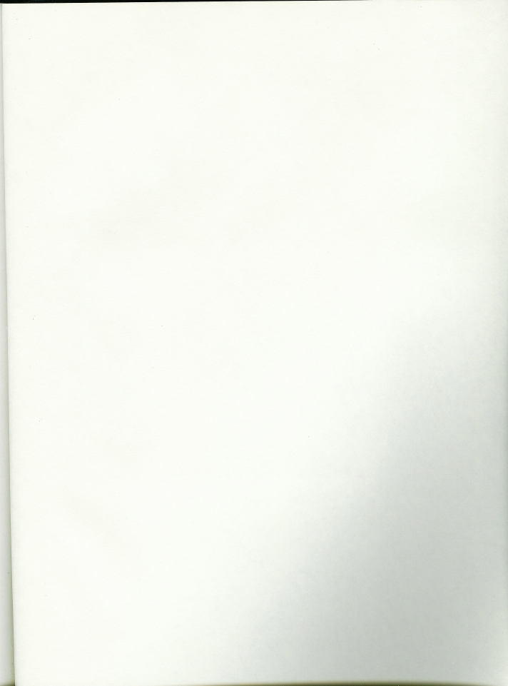 050.jpg