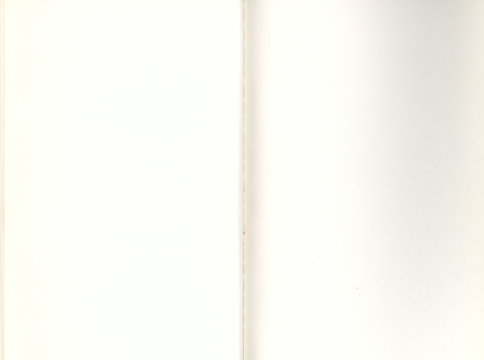 100101.jpg