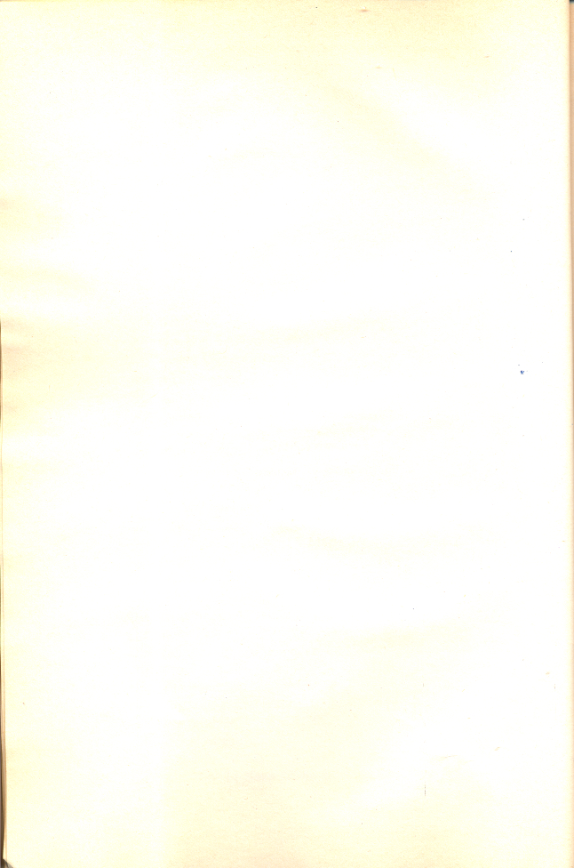 010.jpg