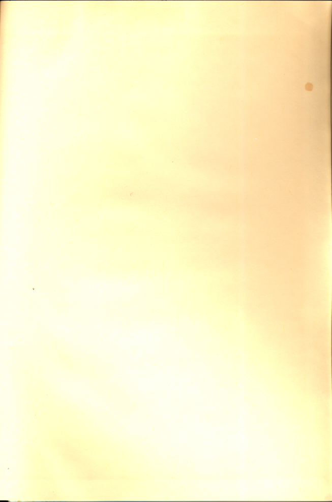 133.jpg