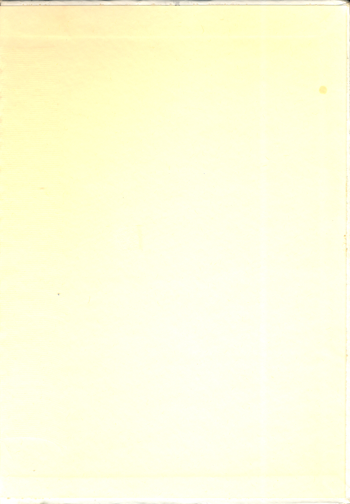 135.jpg