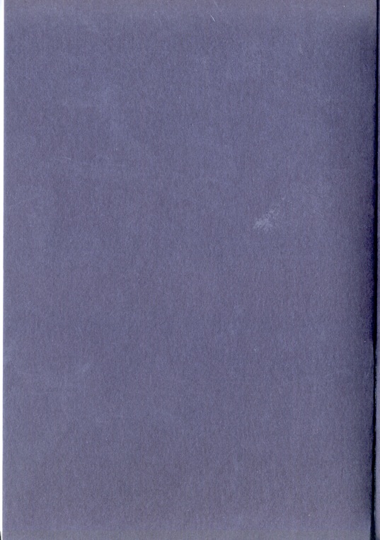 113.jpg