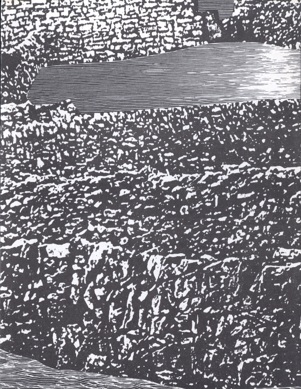 8600.jpg