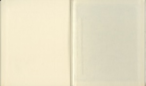 113.jpg