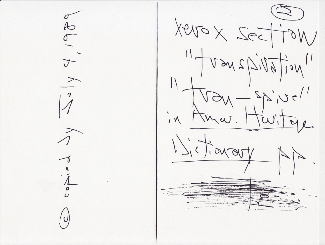 trans0003a.jpg