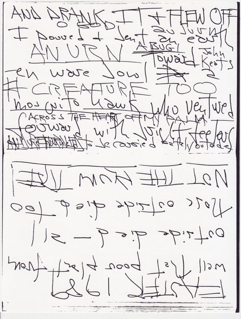 trans0028.jpg