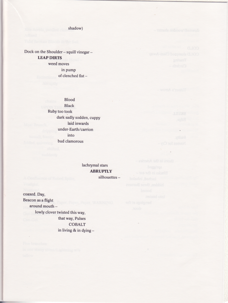unofficial0041.jpg